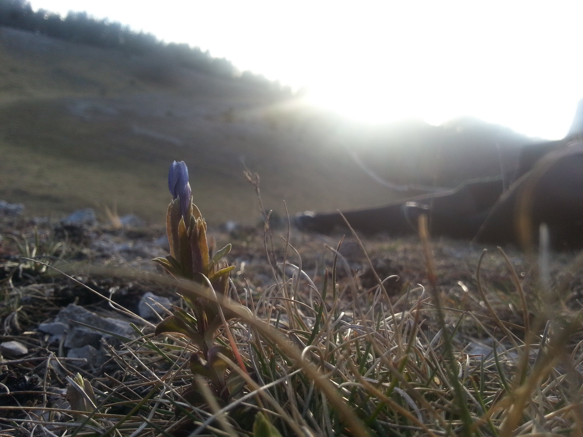 20140216 164419