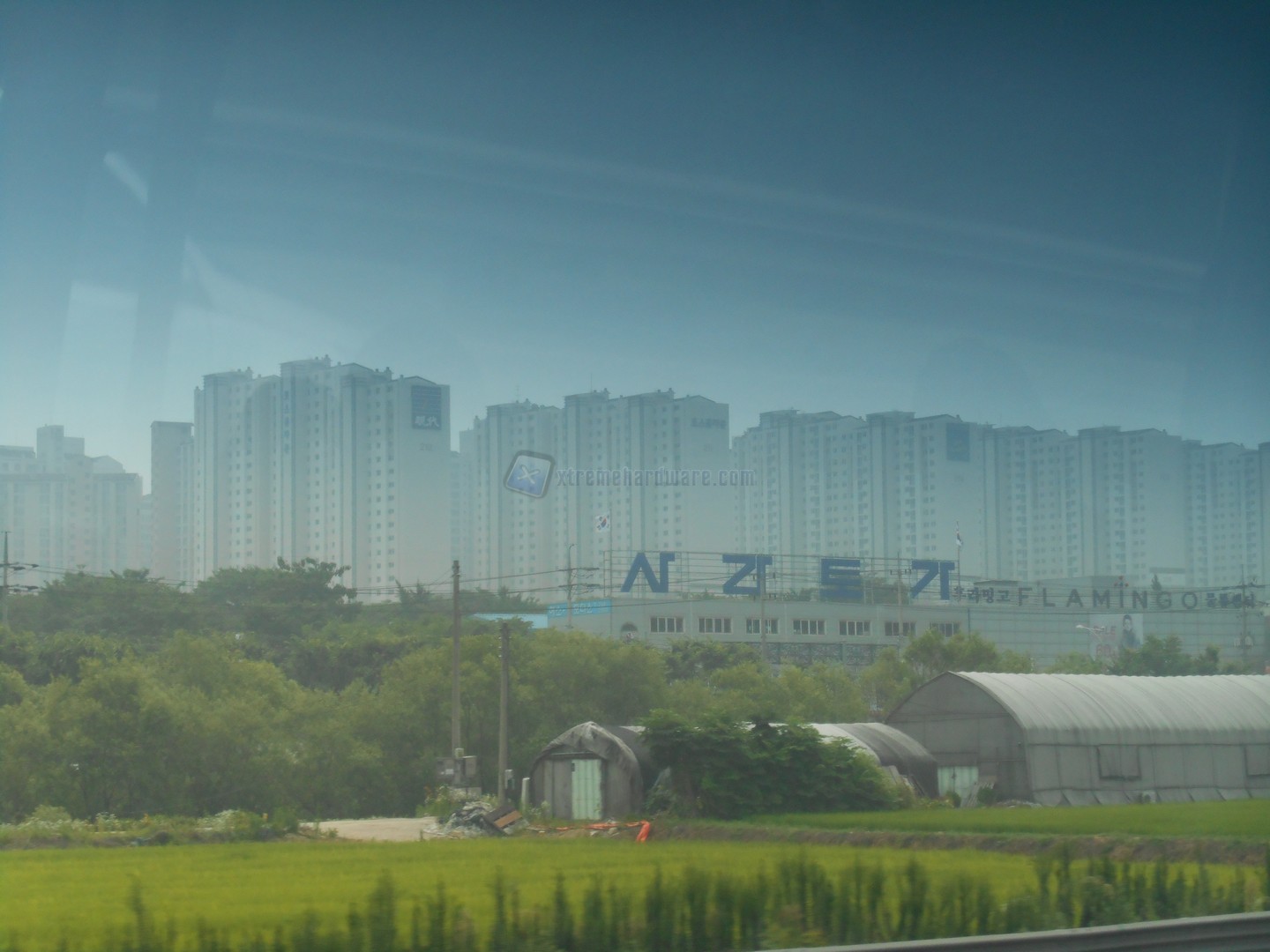 SEOUL  00005